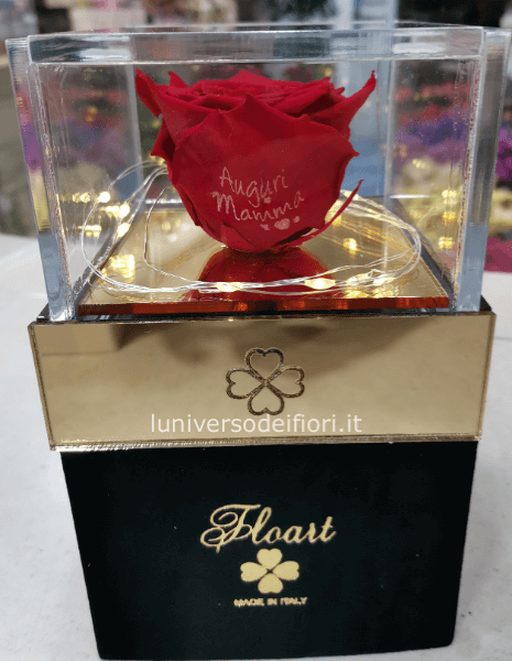 Rosa Stabilizzata con scritta auguri mamma o scritta ti amo